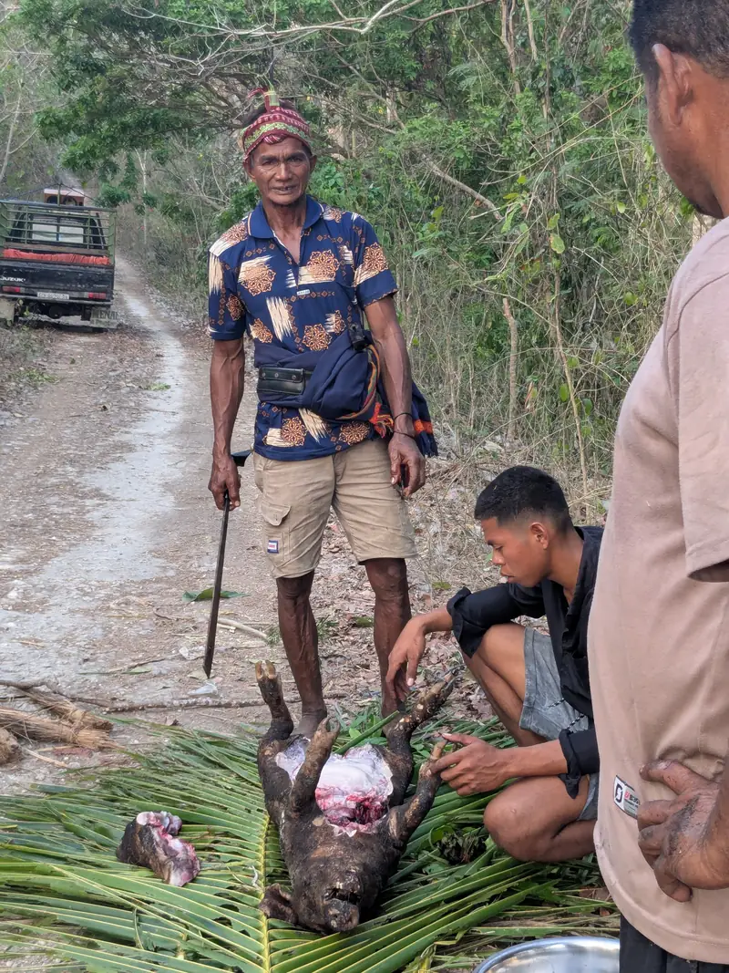 Pak Rato, prêtre Marapu, avec sa machette, devant le cochon sacrifié
