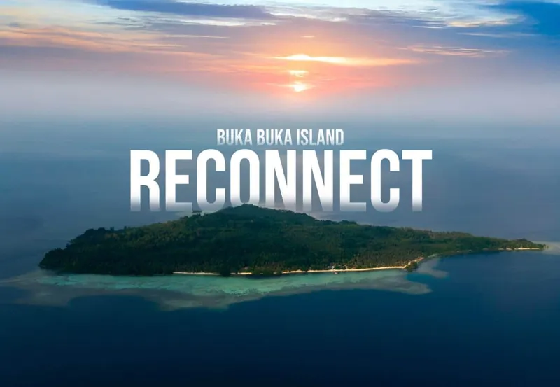 Reconnect - Private Island