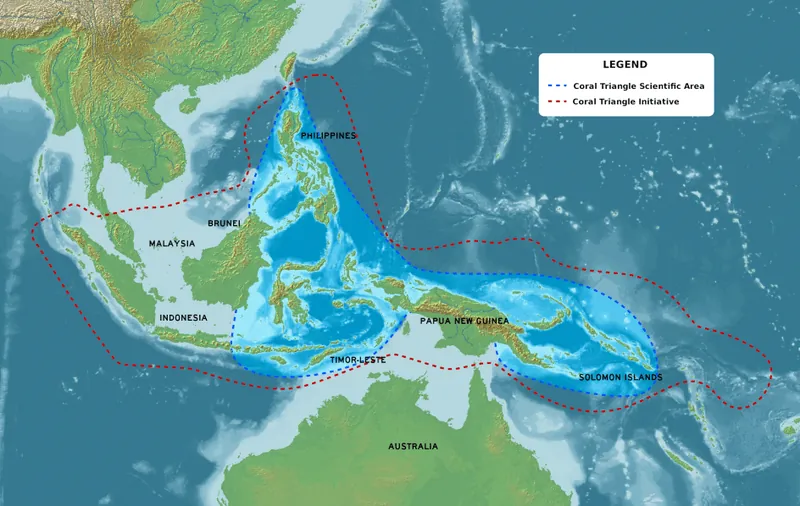 Map of the coral triangle