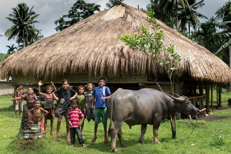 Sumba Kids