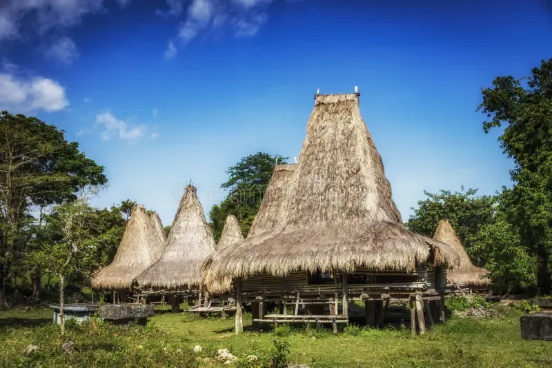 Sumba House