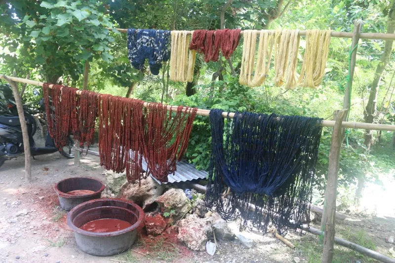 Naturally dyed yarns in indigo, morinda red, and yellow drying outdoors in Sumba.