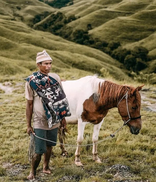 Sumbanese man with horse wearing ikat cloth on his shoulder, symbol of wealth and prestige.