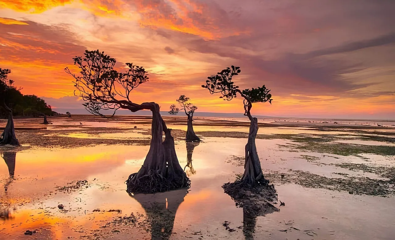 Sumba real estate