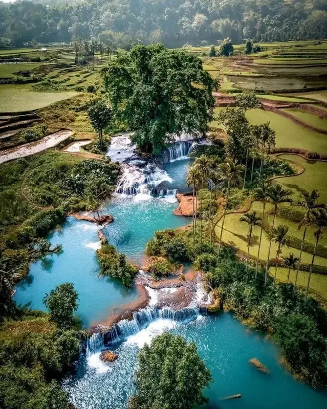 Sumba — Waikelo Sawah waterfalls cascading through rice terraces
